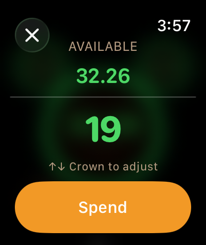 Spendah Apple Watch screenshot 8