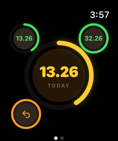Spendah Apple Watch screenshot 9